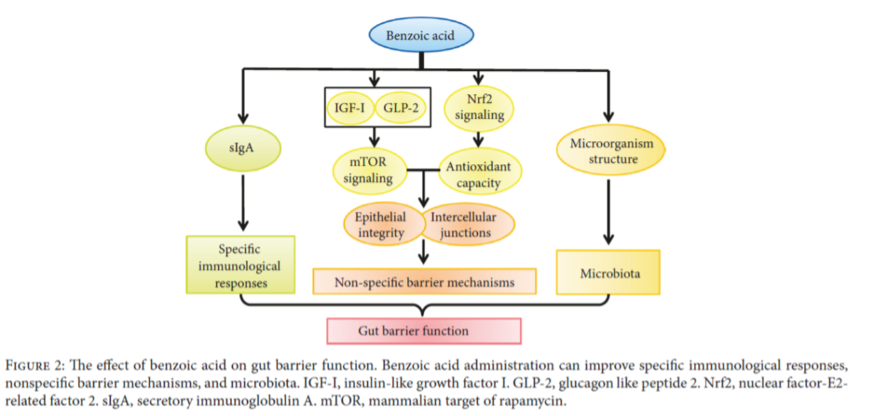 besparing voerkosten